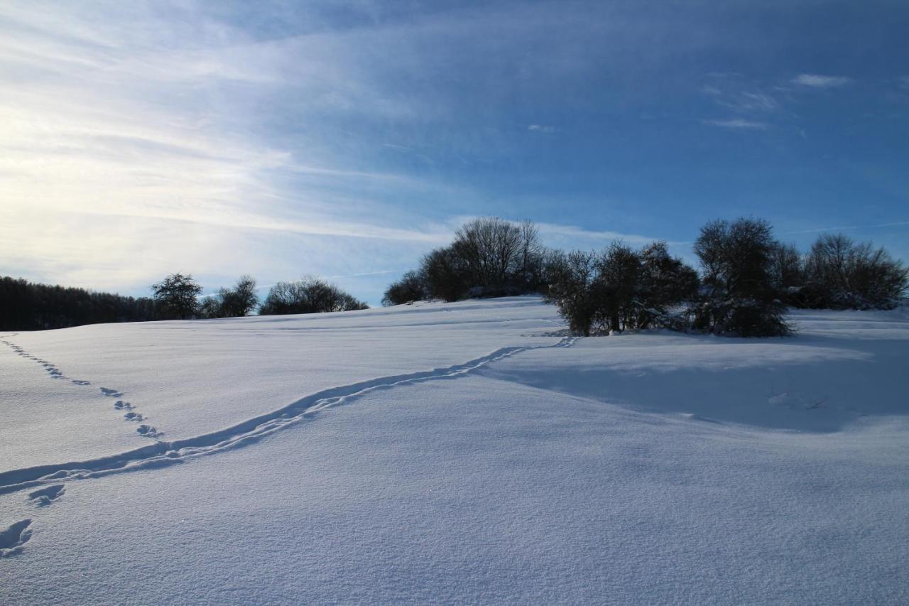 Ferienhaeuser "Zur Hohen Sonne" ทาเลอ ภายนอก รูปภาพ
