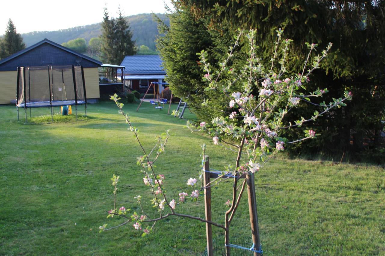 Ferienhaeuser "Zur Hohen Sonne" ทาเลอ ภายนอก รูปภาพ