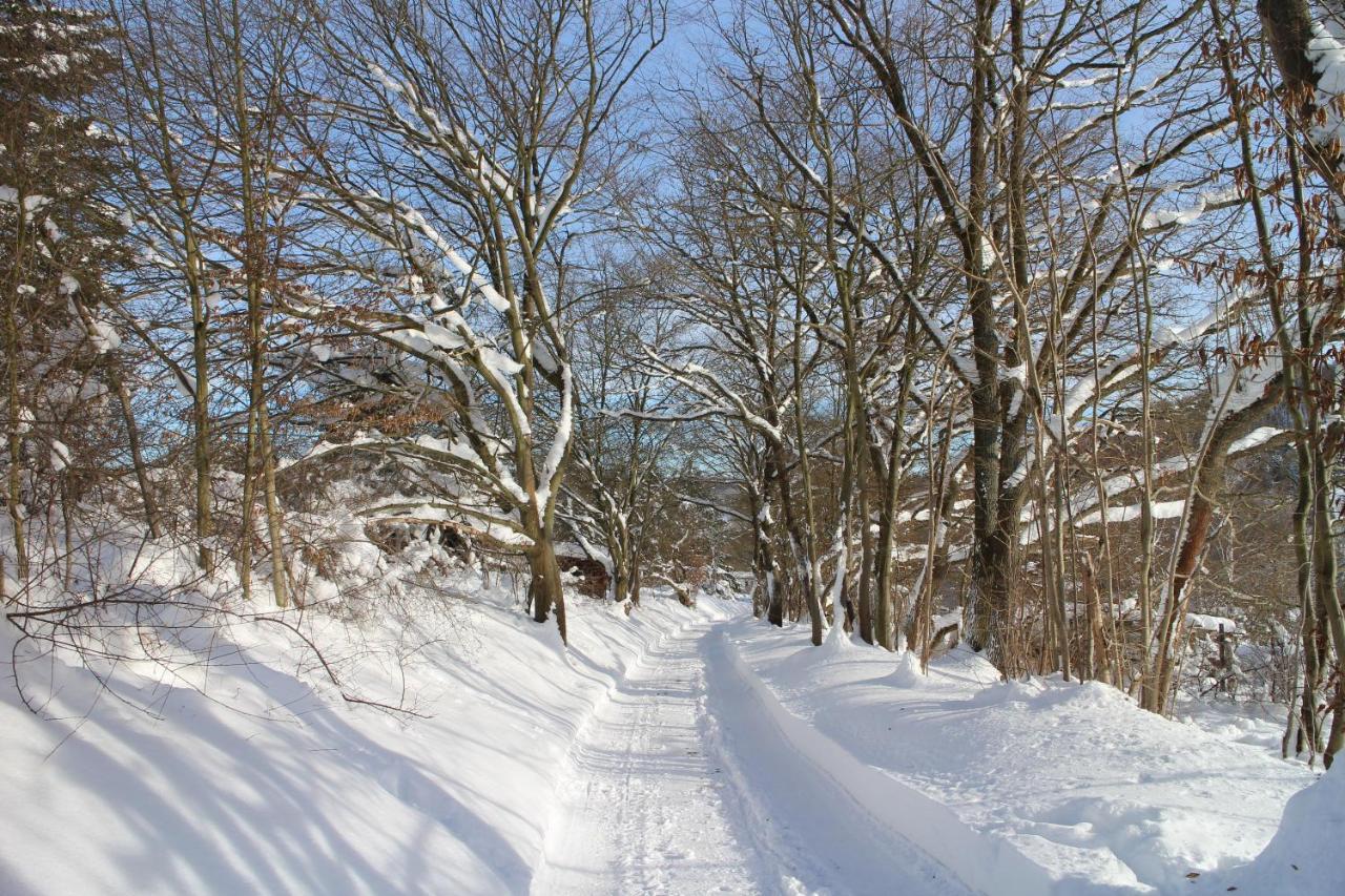 Ferienhaeuser "Zur Hohen Sonne" ทาเลอ ภายนอก รูปภาพ
