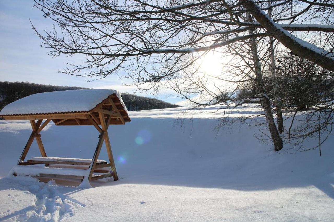 Ferienhaeuser "Zur Hohen Sonne" ทาเลอ ภายนอก รูปภาพ